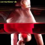  Bildname: StehendeWelle2.jpg